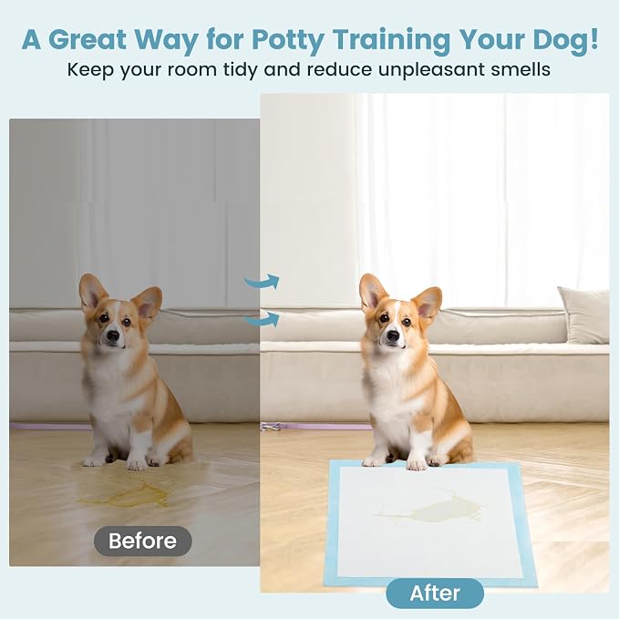 PETSITE Dog and Puppy Pee Pads, 6-Layer Leak-Proof Super Absorbent, Quick-Dry Surface, Indoor Outdoor Disposable Potty Training Pads, Blue & White (30" x 30" (150 Count))