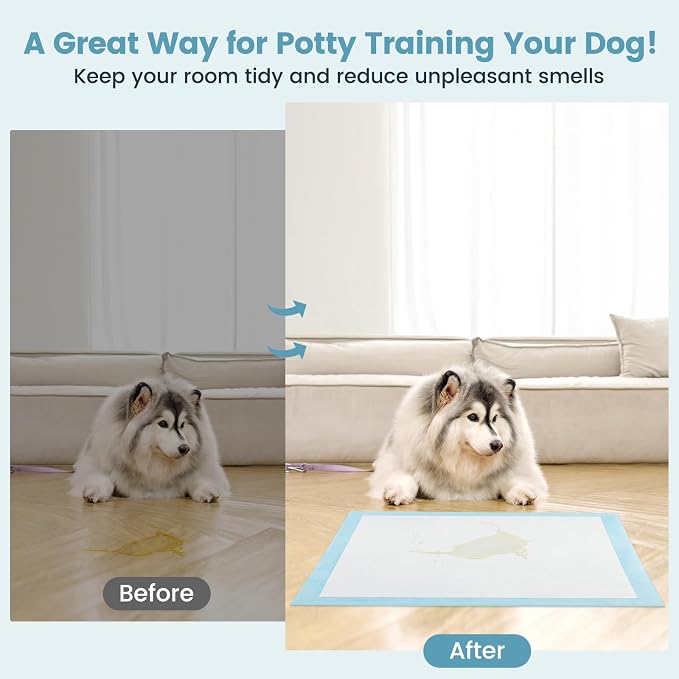 PETSITE Dog and Puppy Pee Pads, 6-Layer Leak-Proof Super Absorbent, Quick-Dry Surface, Indoor Outdoor Disposable Potty Training Pads, Blue & White (36" x 36" (100 Count))