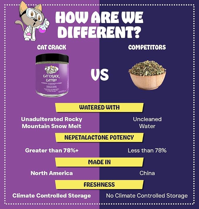 Cat Crack Catnip, Zoomie-Inducing Cat Nip Blend, North American Made & 100% Natural, Safe & Non-Addictive Catnip Treats Used to Supplement Cat Nip Toys, Spray, & Accessories (20 Cups)