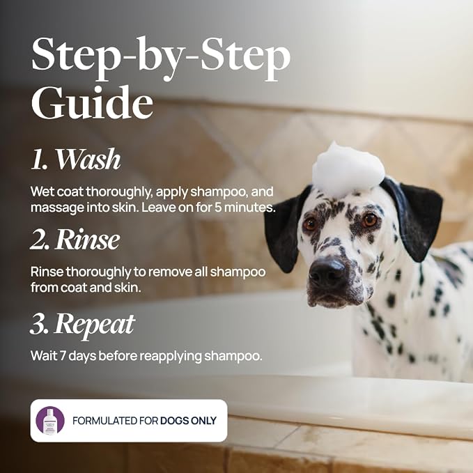 Veterinary Formula Clinical Care – Antiparasitic & Antiseborrheic Medicated Dog Shampoo – Supports Dry, Irritated Skin and Helps Soothe Occasional Itchy Spots – 16 oz - 2-Pack