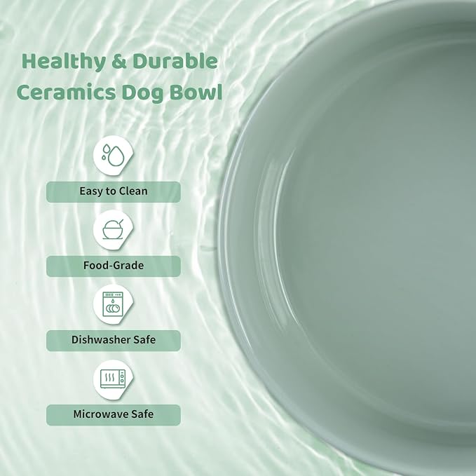 SPUNKYJUNKY Ceramics Raised Dog Bowls with Wooden Stand - Elevated Bowls for Small Medium Dogs (Double 28.7OZ, Light Green)