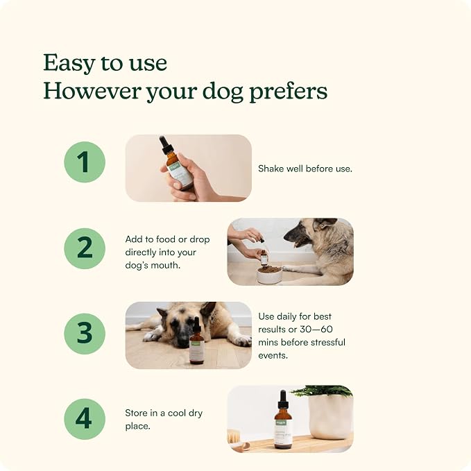 Reggie Anytime Calming Drops for Dogs | Fast-Acting Natural Anxiety Relief with L-Theanine, GABA & Chamomile | Dog Calming Tincture for Stress, Separation Anxiety, Thunderstorms & Travel | 2 fl oz