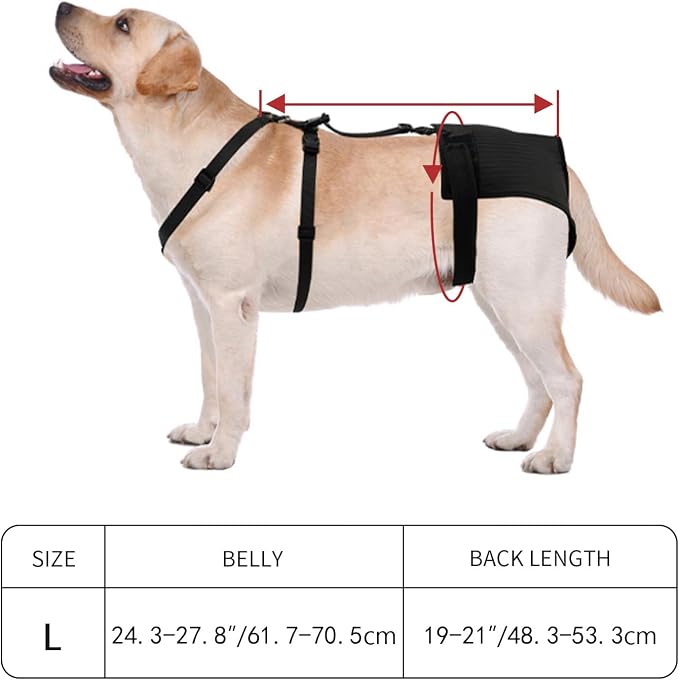 Female Dog Heat Pants with Harness Design - Anti-Slip, Anti-Mating, Reusable & Washable Underwear for All-Day Protection (Black, L)