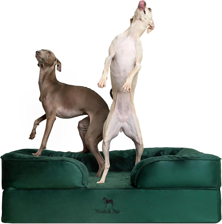 NOAH & PAW Large Dog Bed, 35x25x11 Inch, Orthopedic Dog Beds, Eggshell Memory Foam Infused with Cooling Gel, Inner Cover, Water Resistant, Machine Washable (Velvet Sofa Collection)