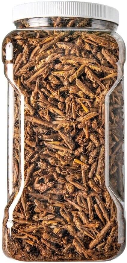 Grasshoppers - Freeze Dried Grasshoppers for Tropical Fish, Reptiles, Turtles, Tortoises Frogs, Hamsters, Birds, Rodents…5oz Med Jar