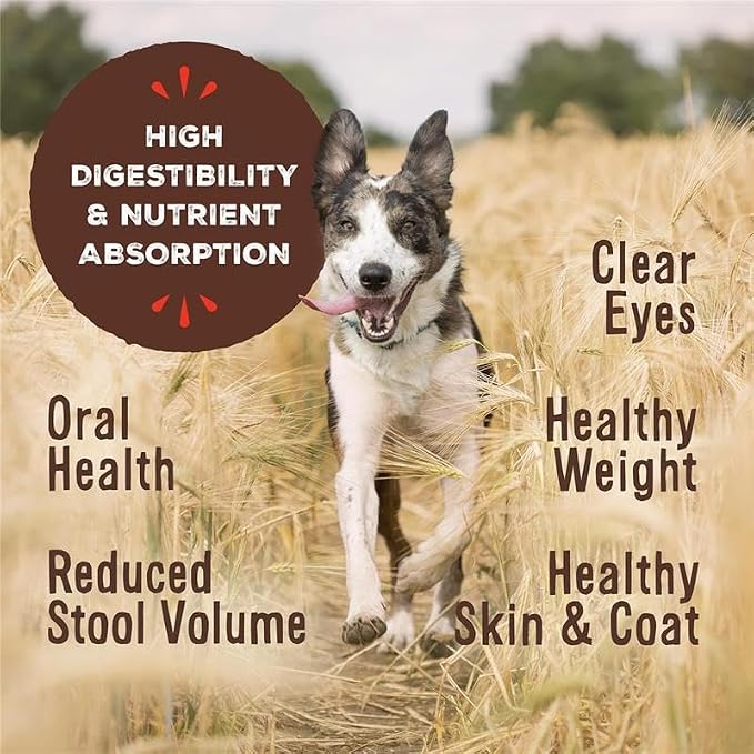 Primal Dog Food Toppers & Cat Food Toppers, Cupboard Cuts, Grain Free Meal Mixers with Probiotics, Raw Freeze Dried Dog Treats & Cat Treats, Great for Training (Beef, 3.5 oz)