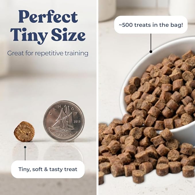 healthybud Mini Dog Training Treats - Beef Liver Soft Trainer Bites, 500+ Bits, 1 kCal per Bite, 6.5oz, Reishi, Lion’s Mane, Salmon Oil, Puppy Chews (Chicken)