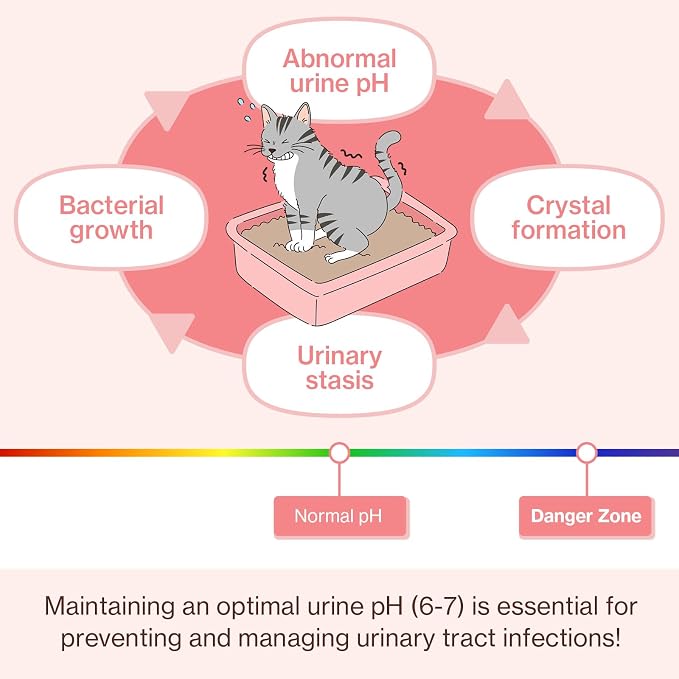 Doctor By UT Care Cat UTI Kidney Support Urinary Supplement Cranberry Treatment for Cats Renal Health with Pacran, Quercetin, Taurine lickable Formula Individually Packaged (1 Pack)