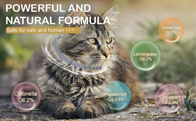 Flea and Tick Collar for Cats &Kitten, Natural Essential Oil Flea and Tick Prevention for Cats, 15 Inch, 8 Month Protection, 2 Pack