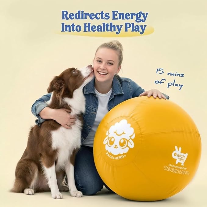 Race&Herd 18" Original XXL Herding Ball for Dogs - Herding Toys, Giant Dog Ball for Australian Shepherds, Border Collies - Durable Dog Outdoor Training Toy for Small Breeds (Gold)