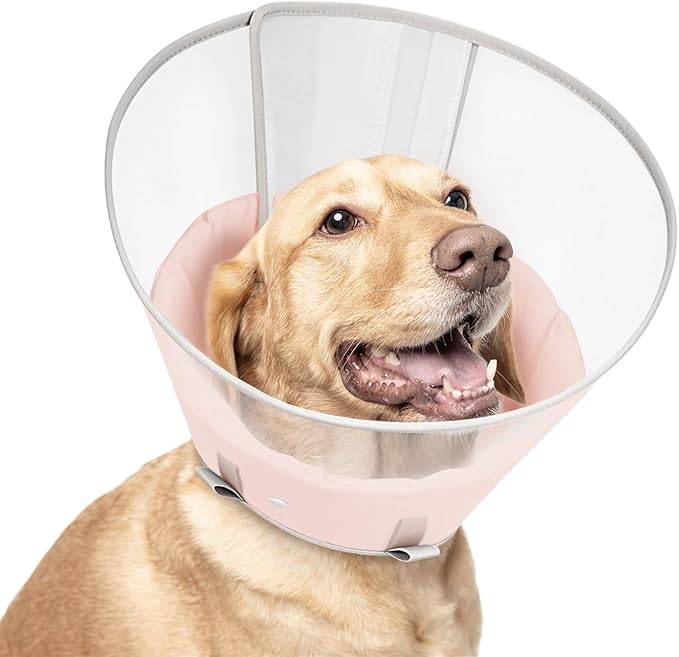 Dog Cone Collar with Snap-on Detachable Soft Liner, Lightweight Transparent Elizabethan Alternative to Stop Licking, for Spay Neuter Surgery Recovery, for Medium Large Small Dogs (Pink,M)