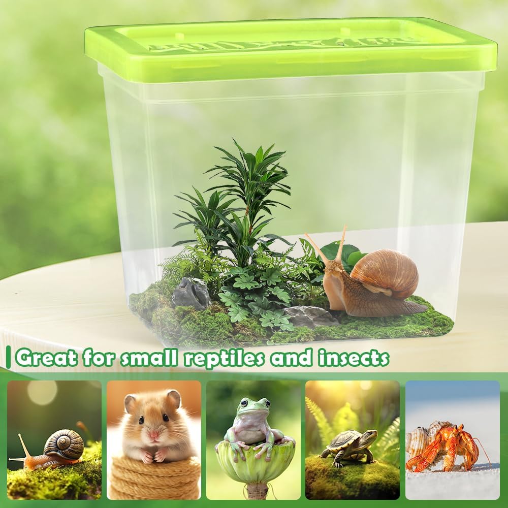 48 Pack Small Plastic Reptile Carrier Tarantula Enclosure Breeding Box Hatching Container for Spider Snail Turtle Hermit Crab Insect (3.9 x 2.9 x 3.1 Inch)