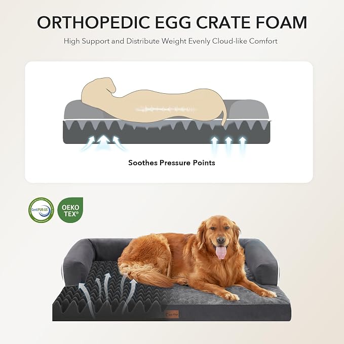 Orthopedic Dog Beds for Extra Large Dogs, Waterproof Egg Crate Foam XL Dog Bed with Sides 48x30Inch, Big Dogs Couch Beds with Removable Washable Cover and Nonskid Bottom, Dark Grey