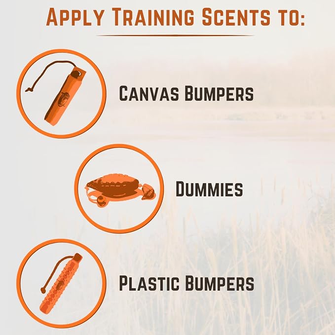 Ultimate Waterfowl Dog Training Scent - with Realistic Mallard Training Dummy Included for Effective Bird Dog Training
