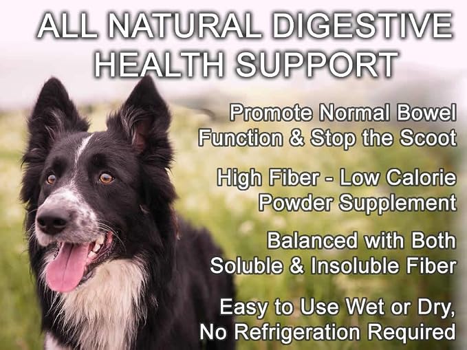 All Natural Digestion Support, Diarrhea Relief & Anal Gland Health Supplement for Dogs - Good Karma Naturals Bulk Up 100% Natural Dog Digestive Fiber Pumpkin Powder (8oz Bag)