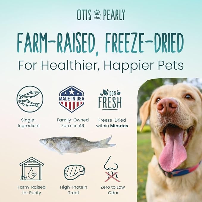 Otis & Pearly Freeze Dried Minnow Dog Treats - Single Ingredient, Made in USA - Healthy Protein Treat for Small, Medium, Large Breeds, Cats (6 oz)