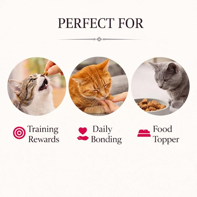 Calming Cat Treats for Indoor Cats – Crunchy Pillow Bites Gooey Center – Chicken Low Calorie Kitty Treats – Cat Snacks Food Topper Training Wheat Soy Free Healthy Dental – 6oz (Packaging May Vary)