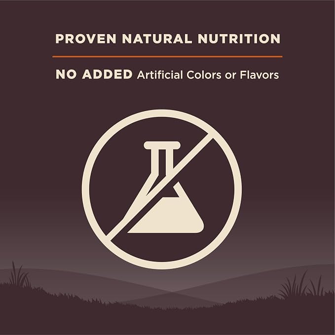 Wellness CORE Adult Dry Dog Food, Grain Free Kibble, Natural, High Protein, Turkey and Chicken Recipe, 26 lb Bag