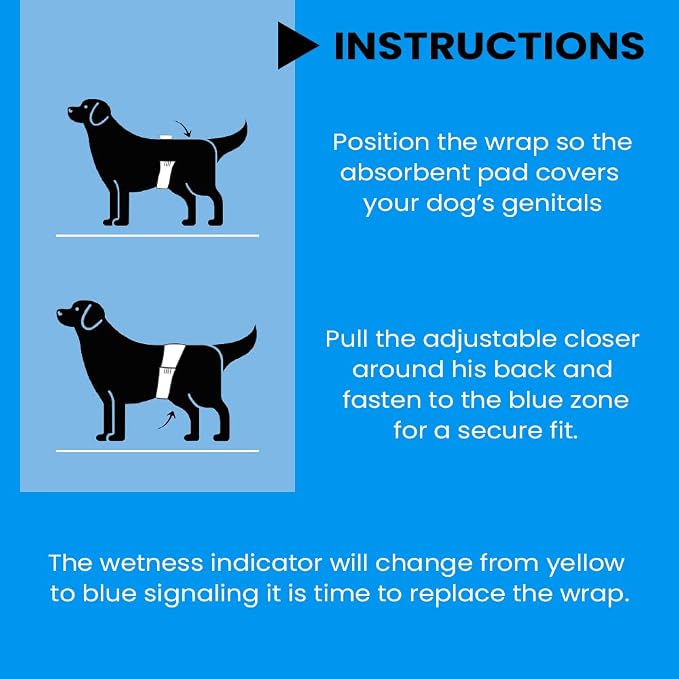 BV Dog Diapers Male Medium (Waist 13-23in) Super Absorbent - 50 Count Disposable - Doggie Diapers with Wetness Indicator - Adjustable Male Dog Wraps - Ideal for Incontinence/Training