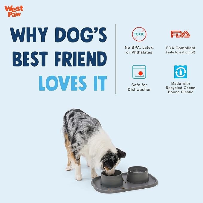 West Paw Seaflex Doggie Placemat – Less Mess Placemats for Dogs, Cats, Pets for Quiet Feeding – Eco-Friendly – Dishwasher Safe, Non-Toxic, Non-Slip – Raised Edges to Hold Dog Bowls, Tropic Red