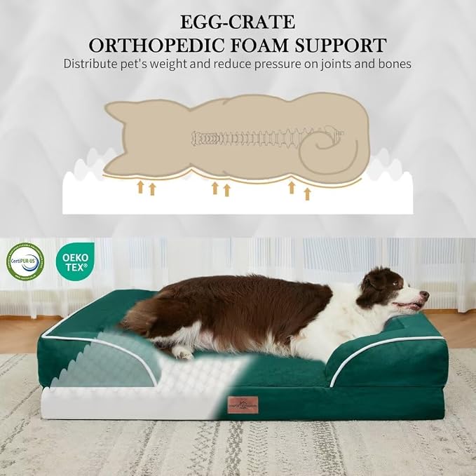 Comfort Expression Orthopedic Dog Bed for Extra Large Dogs 42x30 Inch, Waterproof Supportive Egg Crate Foam XL Pet Bed with Removable Bolsters, Dog Couch with Washable Cover & Non-Slip Bottom, Emerald
