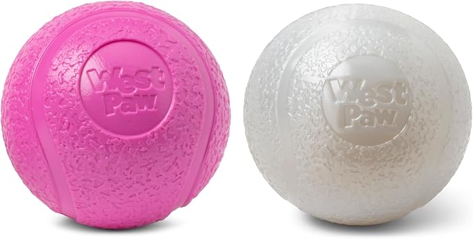 WEST PAW Boundr Ball Dog Fetch Toy – Bouncing Toys for Dogs, Fetch, Catch, Chewing, Play – Floatable, Recyclable Balls – Small Hotpink/Glow 2-Pack