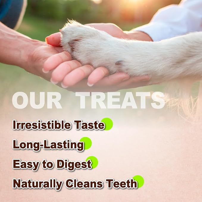 A Freschi srl Turkey Tendons for Dogs, USA-Sourced, Healthy Dog Treats, Rawhide-Free Puppy Chews, Long Lasting, All Natural, Hypoallergenic Dog Treats for Large Breeds, 1 Count Pack Ring (L)
