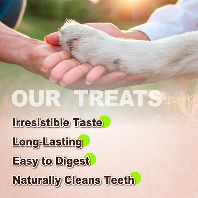 A Freschi srl Turkey Tendons for Dogs, USA-Sourced, Healthy Dog Treats, Rawhide-Free Puppy Chews, Long Lasting, All Natural, Hypoallergenic Dog Treats for Large Breeds, 1 Count Pack Rope (L)