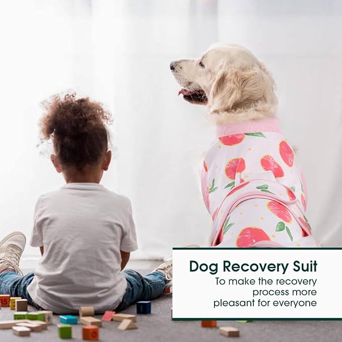 Dog Recovery Suit – Soft Bodysuit for Post-Surgery Care, Comfortable and Breathable, Alternative to Cone, for Small to Large Dogs (Pink Peach, 2XL)