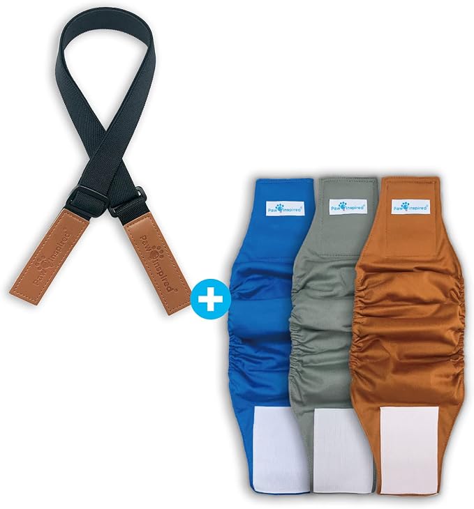Paw Inspired Reusable, Washable Belly Band for Male Dogs (X-Small, 3 Count in Assorted Colors) with Adjustable Black Suspenders