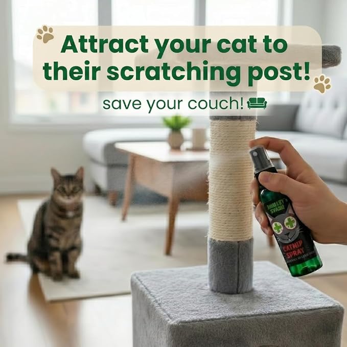Smokey's Stash Catnip Spray and Dried Catnip Bundle for Cats - 2oz Catnip Spray and Premium Pop-Top Can, Handcrafted in the USA
