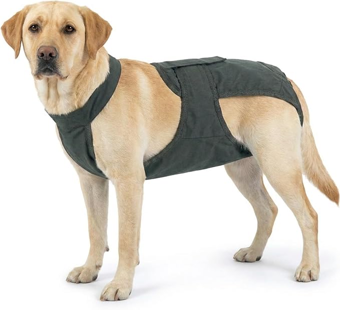 IDOMIK Reusable Female Dog Diapers, Washable Dog Period Diapers with Adjustable Suspenders, Leakproof Escape-Proof Sanitary Panties for Dogs in Heat Cycle, Incontinence, or Senior Dogs,Grey,2XL