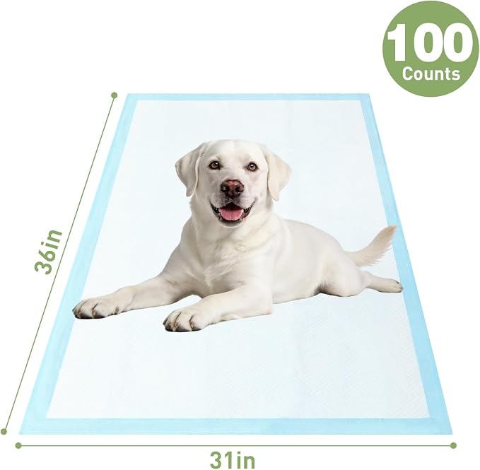 Pee Pads for Dogs ,Disposable Dog Traning Pads Leak-Proof Dog Pee Pads Extra Large,Quick-Drying Absorbent Wee Wee Pad for Dogs Puppy Pad XXL 31"x36" ,100 Count