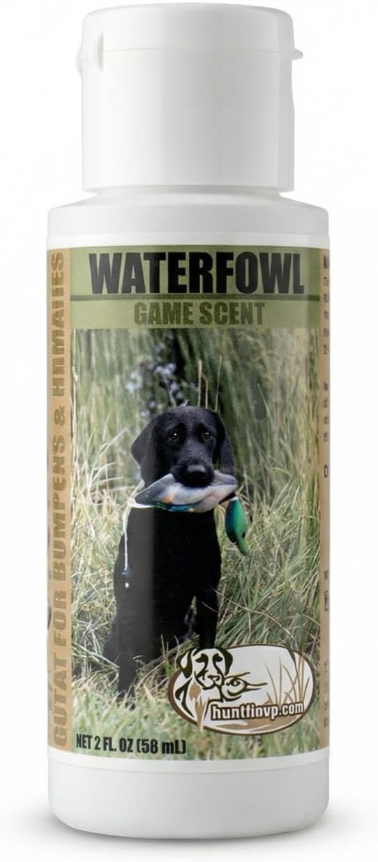 Ultimate Waterfowl Dog Training Scent - with Realistic Mallard Training Dummy Included for Effective Bird Dog Training