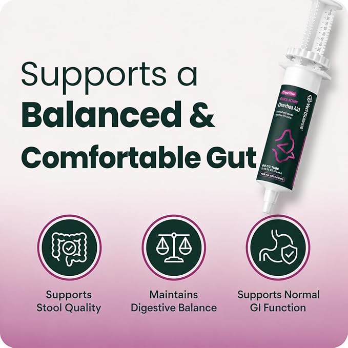 VetriScience Quick Action Diarrhea Aid Paste with Probiotics & B Vitamins, Fast Balance Digestive Support Supplement for Dogs and Cats, Gut Balancer, Unflavored, 35 cc