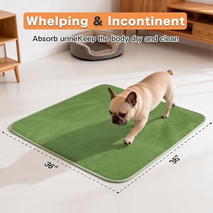 Washable Pee Pads for Dogs, Extra Large Reusable Dog Pee Pad, Waterproof Pet Mat, Dog Playpen Mats for Puppy Training Whelping Playpen Pads, Green, 36x36 inch