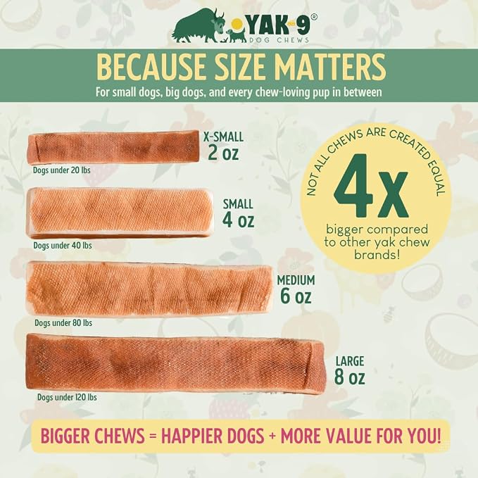 Yak9 Himalayan Yak Chews for Medium Dogs - High Protein, Rawhide Free, Long Lasting Treats - Non GMO, Gluten Free, Grain Free Yak Milk Dog Chew, Extra Large 6oz (for Breeds 40-80 LBS), Turmeric, 3 PC