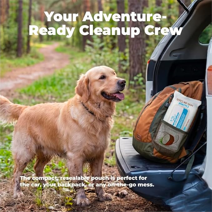 Best Pet Supplies 8" x 9" Large Dog Wipes - Cleaning and Deodorizing for Paws and Coat - Gentle Formula with Coconut Vitamin E for Puppies and Cats - 100 Count