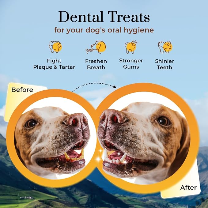 Dogsee Himalayan Yak Cheese Dog Chews with Turmeric/Curcumin (Medium - 2 Chews), All Natural Long Lasting, Anti-inflammatory, Odorless High Protein Chew,60% Protein Dog Treats for Active Chewers