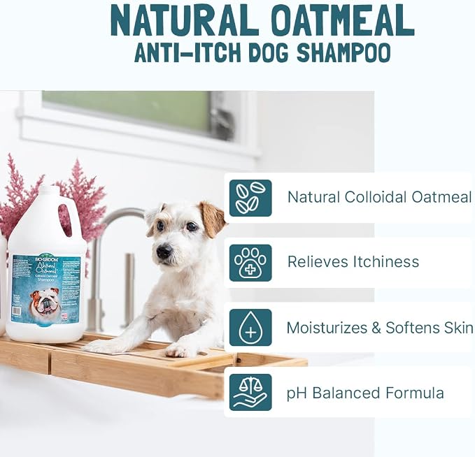 Bio-Groom Oatmeal Dog Shampoo-for Allergies and Itching, Cruelty-Free, Dog Bathing Supplies, Puppy Shampoo for Sensitive Skin, Made in USA, Anti-Itch Dog Products-2.5 Gallons