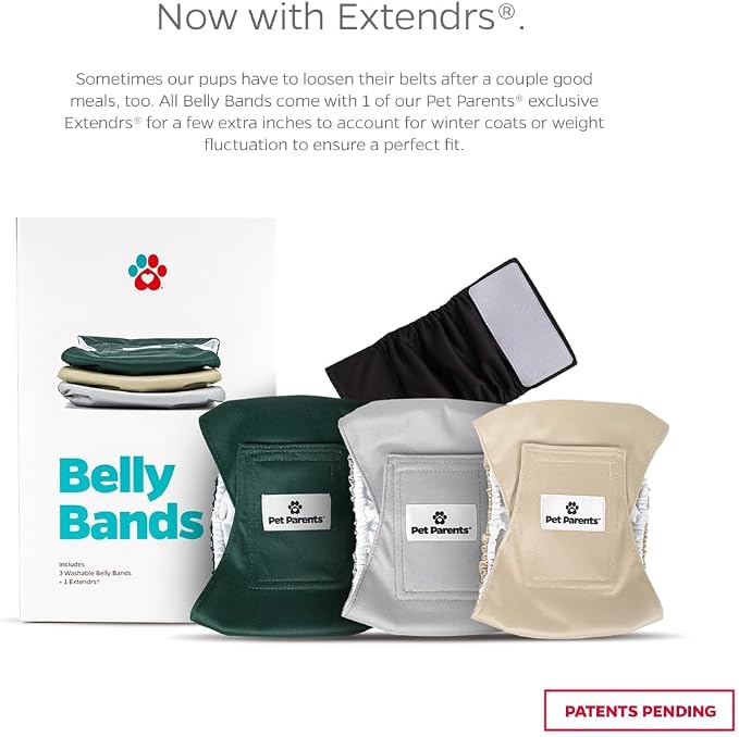 Pet Parents® Washable Belly Bands for Male Dogs (3pack) + Extendrs® of Durable Dog Diapers Male, Premium Male Dog Diapers & Dog Wraps (X-Small, Spruce)
