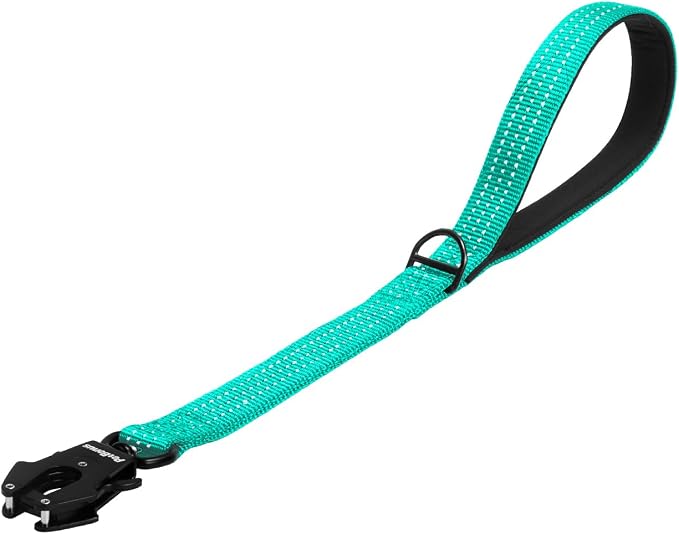 PetBonus Heavy Duty 18 Inch Short Dog Leash and 2-Pack Large Silicone Collapsible Dog Bowls