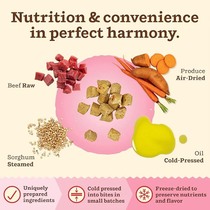 Primal Kibble in The Raw, Freeze Dried Cat Food, Beef, Scoop & Serve, Made with Raw Protein, Whole Ingredient Nutrition, Crafted in The USA, Dry Cat Food, 64 Ounce (4 lb) Bag