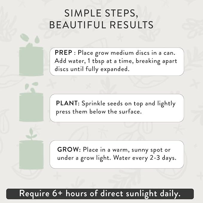 Modern Sprout Complimentary Color Grow Kits (Pack of 6) - Seed Starter Kit - Includes Strawberry, Sunflower, Cactus, Tomato, Melon & Lavender Seeds - Gardening Gifts that Grows with Love