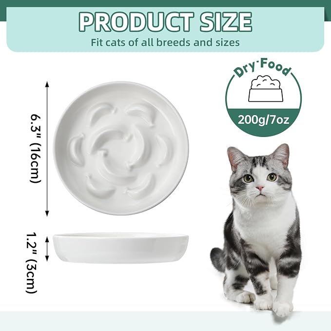 Slow Feeder Cat Bowls with Stand - Double Ceramic Cat Dishes and Splash-Proof Base Bundle - Elevated Feeding Station - White & Green