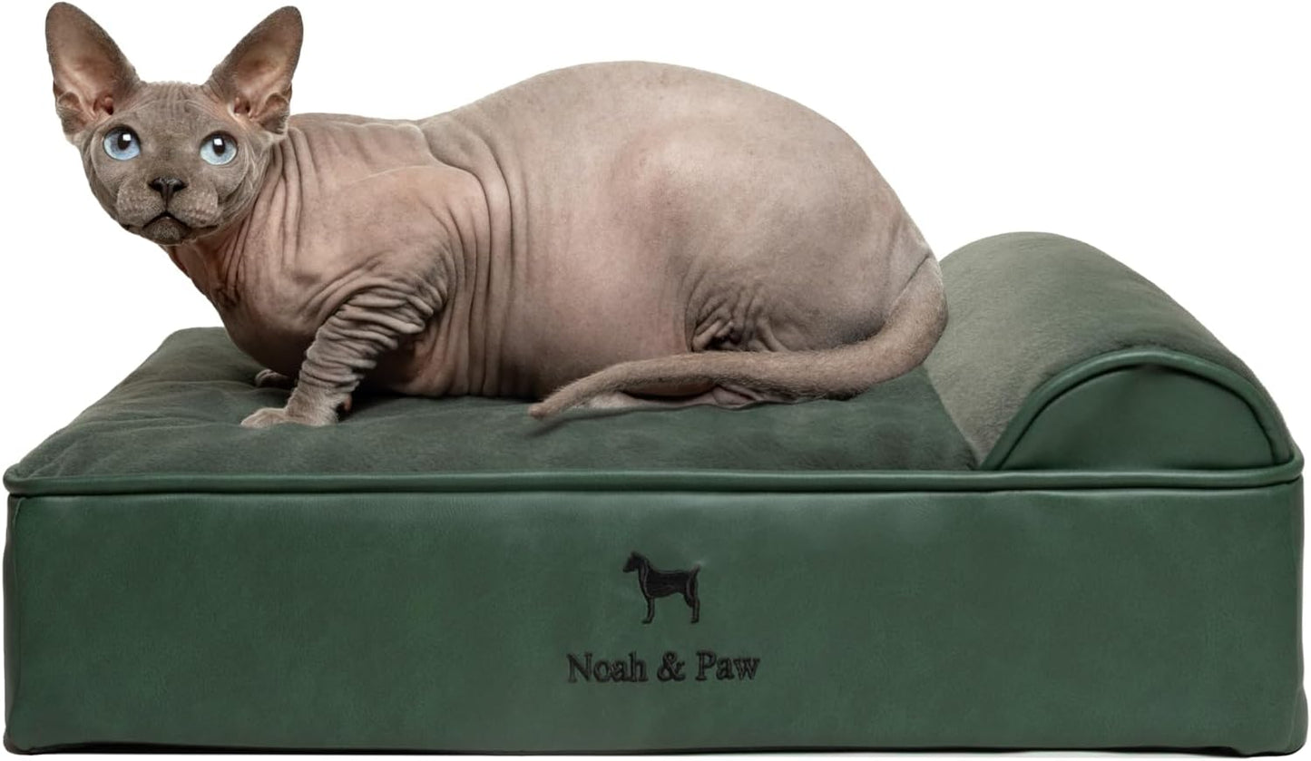 NOAH & PAW Small Dog Bed, 20x15x6.5 Inch, Cat Bed for Indoor Cats, Orthopedic Eggshell Memory Foam Infused with Cooling Gel, Water Resistant, Machine Washable, Includes Inner Cover (Faux Leather)