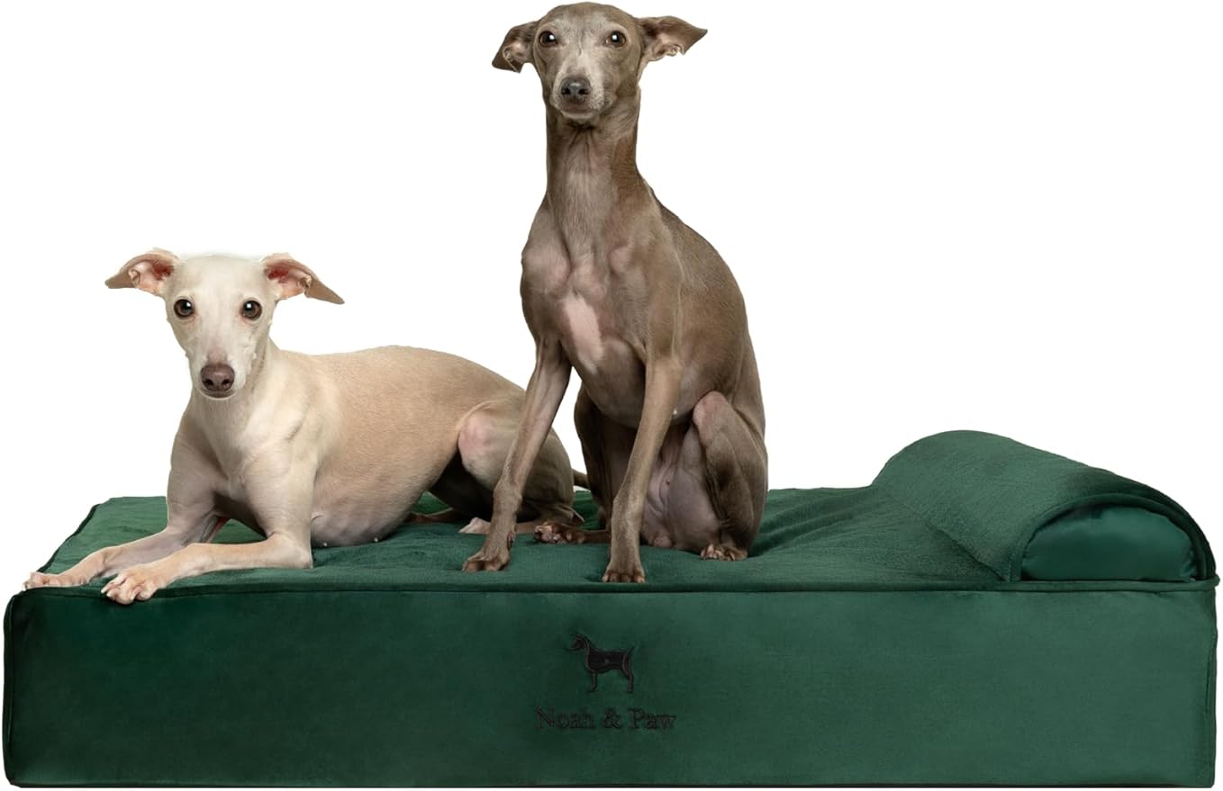 NOAH & PAW Large Dog Bed, 35x25x8.7 Inch, Orthopedic Dog Beds, Eggshell Memory Foam Infused with Cooling Gel, Water Resistant, Machine Washable, Includes Inner Cover (Velvet Collection)