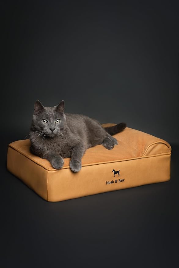 NOAH & PAW Small Dog Bed, 20x15x6.5 Inch, Cat Bed for Indoor Cats, Orthopedic Eggshell Memory Foam Infused with Cooling Gel, Water Resistant, Machine Washable, Includes Inner Cover (Faux Leather)