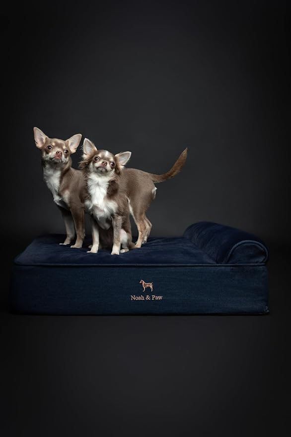 NOAH & PAW Dog Bed, 28x23x7.5 Inch, Orthopedic Dog Beds for Medium Size Pets, Eggshell Memory Foam Infused with Cooling Gel, Water Resistant, Machine Washable, Includes Inner Cover (Denim Collection)
