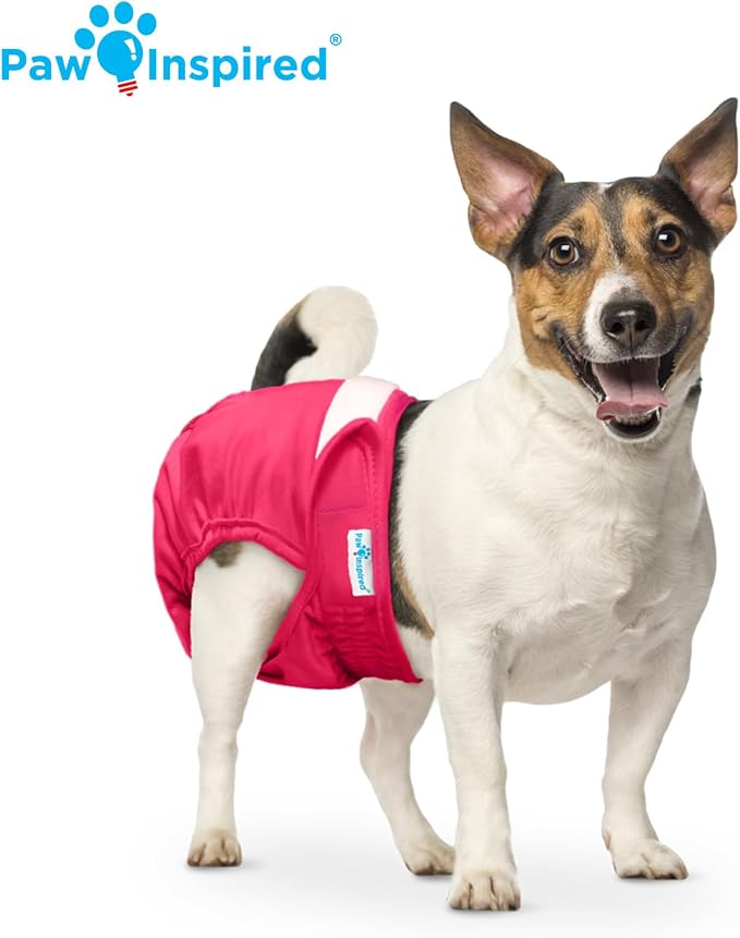 Paw Inspired Washable Reusable Dog Diapers Female, Cloth Dog Diapers, Dogs in Heat, Dog Incontinence (Assorted (White Lining), Small (3 Ct.))